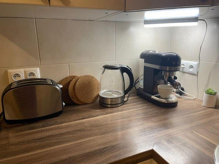 Apartment Techov 布兰斯科 外观 照片